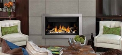 Napoleon BL46 Ascent Linear Direct Vent Gas Fireplace