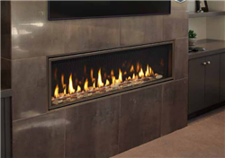 Majestic Echelon II 60" Direct Vent Gas Fireplace - Free Shipping