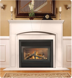 GD33NR Napoleon Direct Rear Vent Gas Fireplace