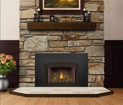 Napoleon X3 Oakville Series Gas Fireplace Insert