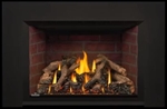 Napoleon X4 Oakville Series Gas Fireplace Insert