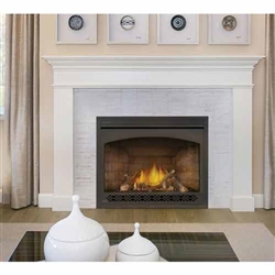 Napoleon Ascent X 42 DV Gas Fireplace