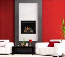 Napoleon HD40 High Definition Gas Fireplace
