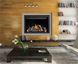 HD46 Napoleon Direct Vent Gas Fireplace