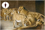 How to Cope with Lions (Download)