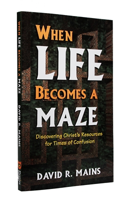 When Life Becomes a Maze by Dr David R Mains