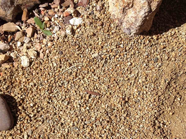 Gold Nugget Decomposed Granite 3/8" Minus