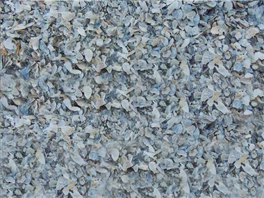 Oyster Shell Bulk