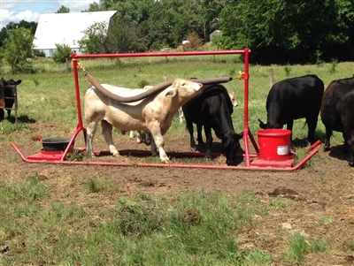 Cattle Rub with 2 Mineral Barrel Holders