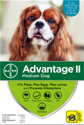 Advantage II For Medium Dogs 11-20 lbs, 6 Pack