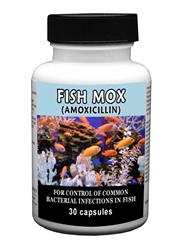 Fish Mox (Amoxicillin) 250mg, 30 Capsules