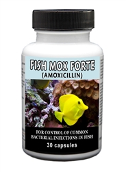 Fish Mox Forte (Amoxicillin) 500mg, 30 Capsules