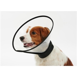 Buster Complete Elizabethan Collar For Small/Medium Breeds 12.5cm (5" Depth)