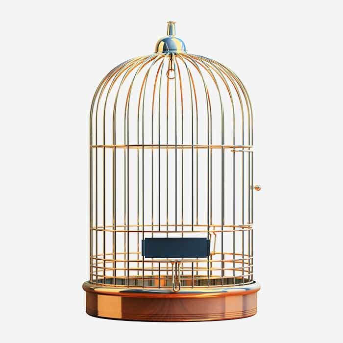Bird Copper Cage