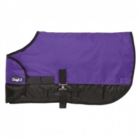 Tough-1 600D Waterproof Poly Adjustable Foal Blanket For Sale!