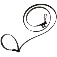 Beta Biothane® Dog Leashes for Sale!