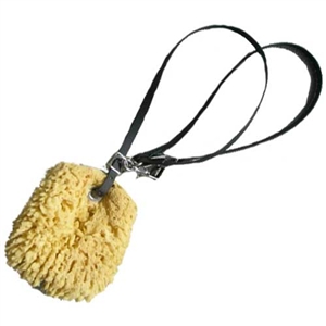 Sea Sponge with Beta Biothane Sponge Leash for Sale