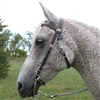 Western Bridle / Racing Bridle for Sale!