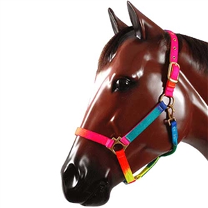 Rainbow Halter For Sale!