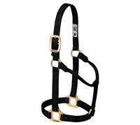 3/4" Weanling Nylon Halter for sale!