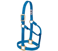 1" Yearling Nylon Halter for sale!