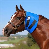 Superior Throat Latch Sweat Help show off your horses perfect throat latch with the superior throat latch sweat from Dura-Tech. Designed from a super stretchy, lightweight neoprene to conform to the throat latch area and is safe for overnight use.