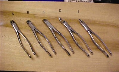 BB 1286 Upper Bicuspids, Incisors & Roots