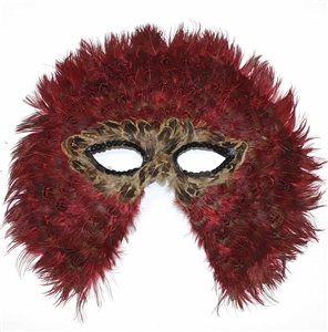 Mardi Gras Feather Mask