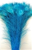 Peacock Tails: Bleached 35"-40"