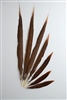 Golden Pheasant Tails 20"-30" Side