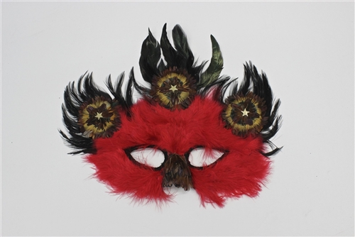 Feather Mask