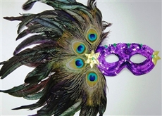 feather mask with peacock feather