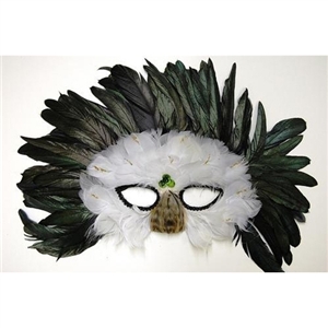 feather mask with peacock feather