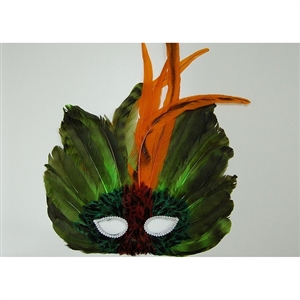 feather mask with peacock feather