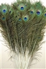 Peacock Tails 45"-50"