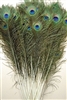 Peacock Tails 50"-55"