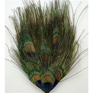 Pads - Peacock Hairy Eyes