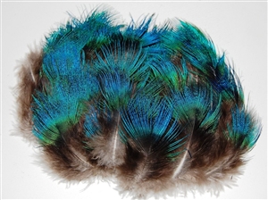 Peacock Plumage - Blue Hairy