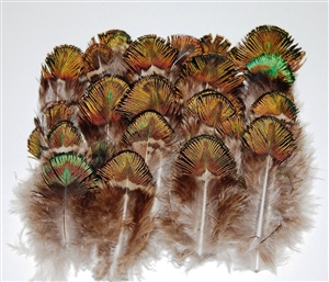 Peacock Plumage - Green/Gold