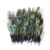 Peacock Mini Tails 2"-9" Dyed