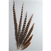 Reeves Pheasant Tails 04"-10"