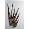 Reeves Pheasant Tails 50"-60"