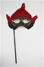 feather mask with peacock feather