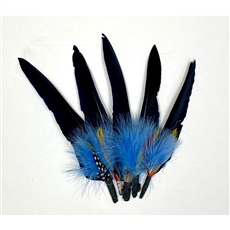 Duck Quills 6-8" (5 pcs)