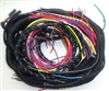 Triumph Razoredge Wiring Harness (389)