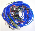 Main Wiring Harness (PP)