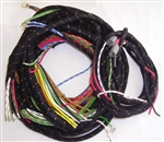 Main Wiring Harness (B,B)