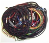 Main Wiring Harness (P,B)