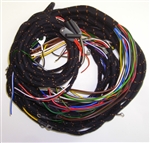 Main Wiring Harness (P,B)