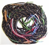 Main Wiring Harness (P,P)